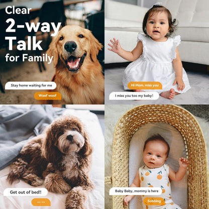 Imou 360° 1080P Full HD CCTV Security Camera, Human Detection, Motion Tracking, 2-Way Audio, Night Vision, Dome Camera with WiFi & Ethernet Connection